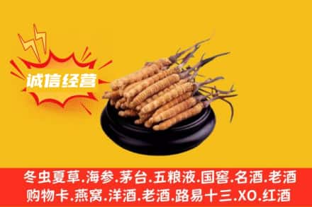 丽水市回收冬虫夏草